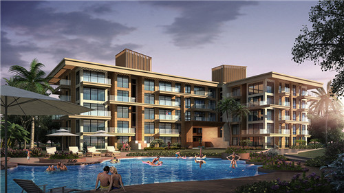 澳美徕澳门花胶鸡