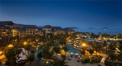 年轻的鸡即鲍汁焖鸡