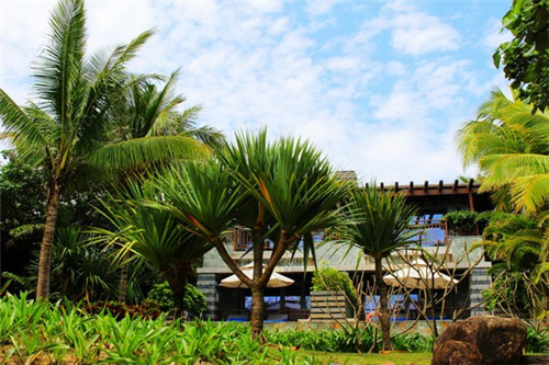 超级奔跑厨房虾蟹