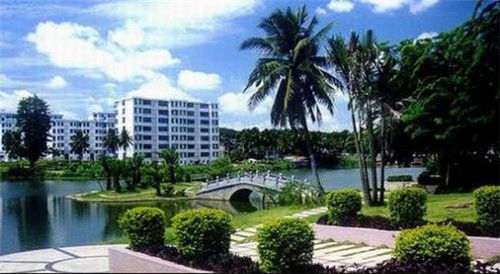 加盟无印抹茶如何更好地经营