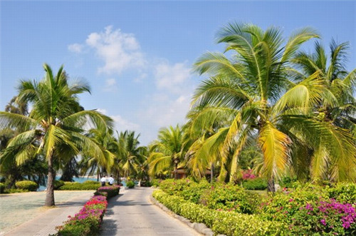 盒马生鲜加盟费贵吗，盒马生鲜超市加盟条件是什么