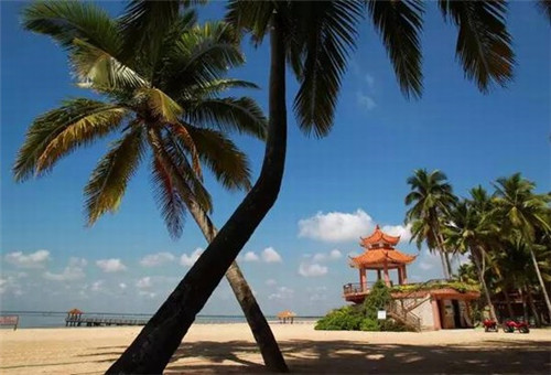 华生园可以加盟吗，华生园加盟费好多