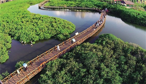 开家天尝上腿鸡排加盟店靠谱吗