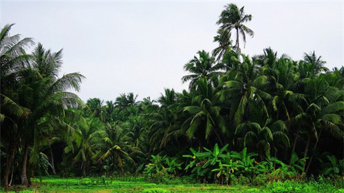 南川楼属于什么景点（南川楼近期能拆吗）